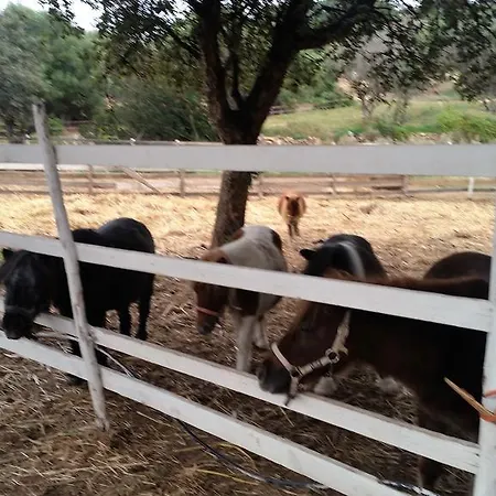 Cala Caterina Bay Couette-café Villasimius