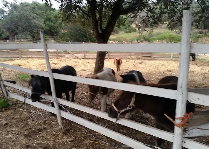 Cala Caterina Bay Panzió Villasimius